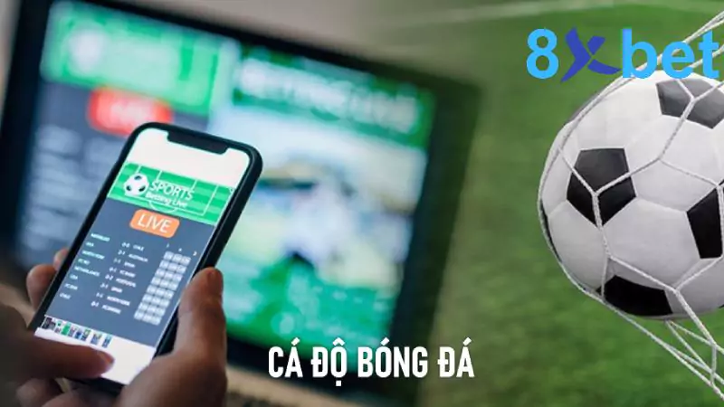 Cá độ bóng đá: Giải trí vui vẻ, thỏa mãn niềm đam mê Cá độ bóng đá mang đến nhiều phần thưởng hấp dẫn