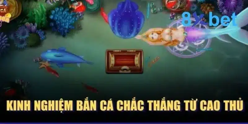 Bắn Cá Xèng - Trò Chơi Giải Trí Thú Vị Bậc Nhất Hiện Nay Kinh nghiệm bắn cá giúp chơi game được hiệu quả