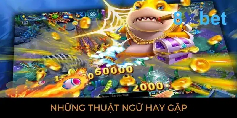 Bắn Cá Xèng - Trò Chơi Giải Trí Thú Vị Bậc Nhất Hiện Nay Những thuật ngữ hay gặp khi tham gia game