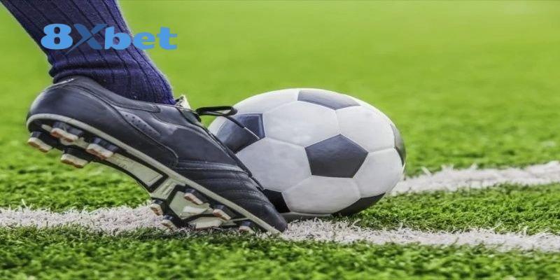 Các ứng cử viên vô địch sở hữu lực lượng chất lượng