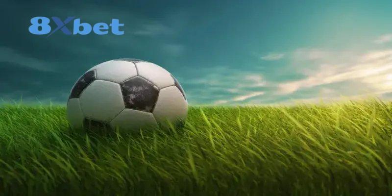 Cập Nhật Danh Sách Vua Phá Lưới World Cup 2026 Hôm Nay Cuộc đua ghi bàn với thống kê chỉ số đầy đủ
