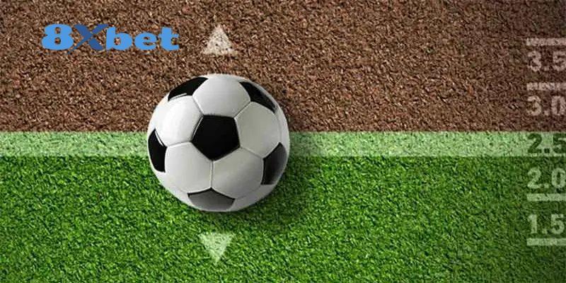 Sự Kiện Hoàn Trả Tiền Cược Thể Thao World Cup 2026